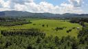 Lot 89 Mountain Brook Trail sold home in Brevard, SC