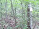 00 Wakulla Way 37 sold home in Waynesville, SC