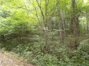 00 Wakulla Way 38 sold home in Waynesville, SC