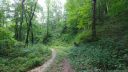 47 Foxfire Drive sold home in Maggie Valley, SC
