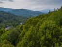99999 Apple Tree Way sold home in Asheville, SC