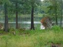 1040 Rippling Brook Drive sold home in Chester, SC
