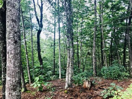 0 Whispering Hills Lane Lot 838B