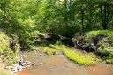 19 Snow White Field Road sold home in Waxhaw, SC
