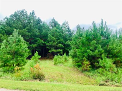 Lot 89 Riverbluff Lane