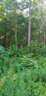 2514 Twin Creek Road 14 &13 sold home in Hickory Creek, Denver, NC
