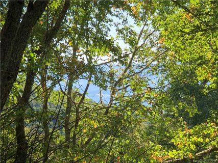 Lot C9 Briarwood Road