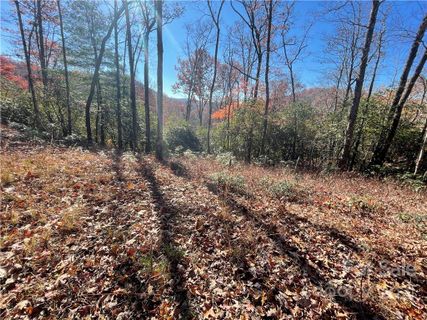 Lot 132 Green Hollow Lane