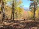 000 Laurel Creek Drive 32 sold home in Hendersonville, SC