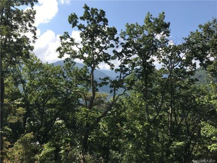 Lot 16 Cougar Lane