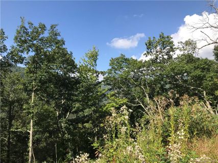 Lot 25 Cub Trail