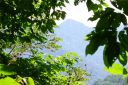 122 Heavenview Point sold home in Maggie Valley, SC
