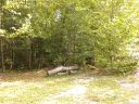 13 Dobsons Knob Loop sold home in Marion, SC