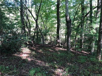 Lot B Echo Lane
