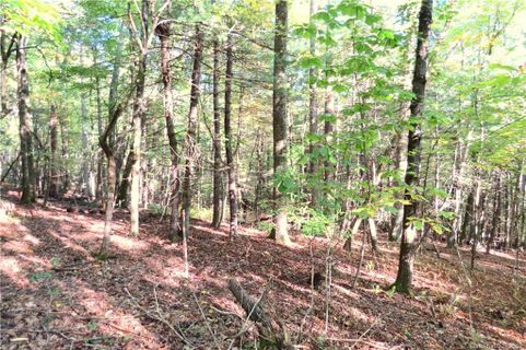 530 Slick Rock Road Tract 1 sold home in Slick Rock, Brevard, NC