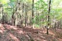 530 Slick Rock Road Tract 1 sold home in Brevard, SC