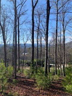 9999 S Mills River Road sold home in Cairens Ridge, Mills River, NC