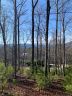 9999 S Mills River Road sold home in Mills River, SC