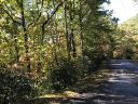 Tbd Shenandoah Terrace sold home in Montreat, SC