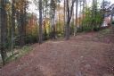 Lot 49 Redwood Road sold home in Brevard, SC