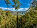 9999 Rambling Ridge Road 14 sold home in Asheville, SC
