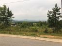 99999 Climbing Aster Way 57 sold home in Asheville, SC