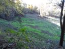 Lot 10 Cider Mill Road sold home in Waynesville, SC