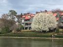 9039 J M Keynes Drive 14 sold home in Charlotte, SC