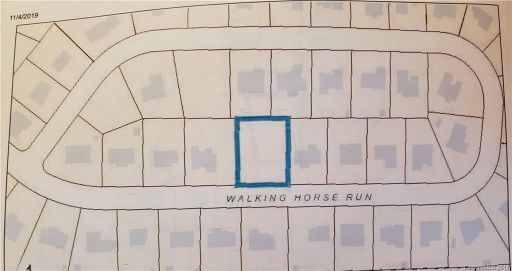 115 Walking Horse Run