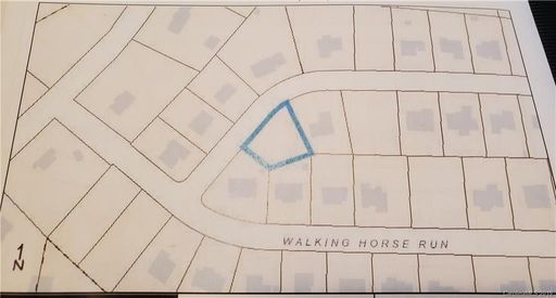 157 Walking Horse Run