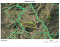 Tbd Left Fork Run Road sold home in Bakersville, SC