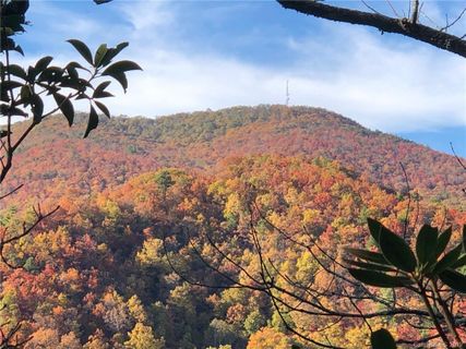 115 Davey Crockett Road sold home in Wildflower Ridge, Fairview, NC