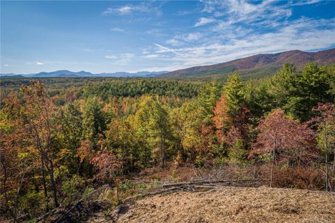 0 Pisgah Preserve Drive 77
