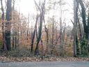99999 Morningside Drive 5 and #6 (two lots) sold home in Asheville, SC