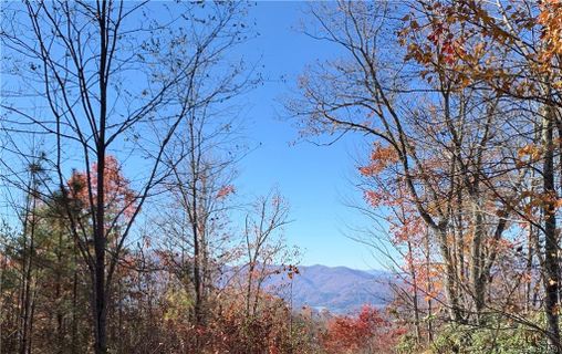 00 Sparkling Falls Road sold home in Black Bear Falls, Whittier, NC
