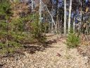 256 Mountain Springs Drive sold home in Bostic, SC