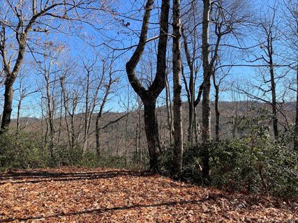 Lot 34 Wood Fern Lane