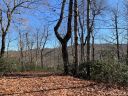 Lot 34 Wood Fern Lane sold home in Rosman, SC