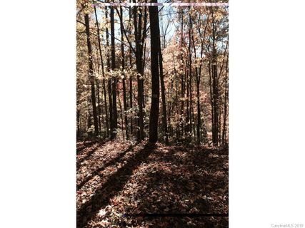 00 Fern Trail 50