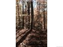 00 Fern Trail 50 sold home in Waynesville, SC