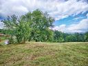 25 35 Magnolia Farms Drive 4 & 5 sold home in Asheville, SC
