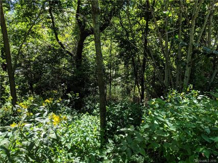 69 Live Oak Loop