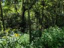 69 Live Oak Loop sold home in Waynesville, SC