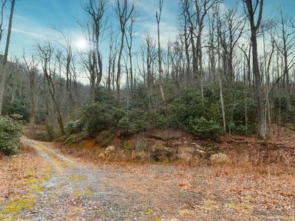 Tbd Pheasant Hollow Drive 37 sold home in Miller Cove, Black Mountain, NC