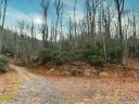Tbd Pheasant Hollow Drive 37 sold home in Black Mountain, SC