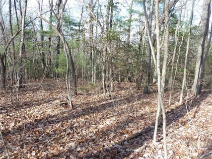51 N Pointe Drive sold home in Ann Mountain Estates, Zirconia, NC