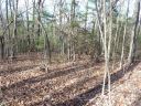 51 N Pointe Drive sold home in Zirconia, SC