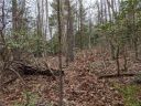 99999 Prospectors Trail sold home in Black Mountain, SC