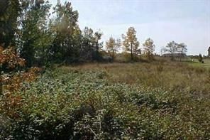 1603 Lewis Farm Road