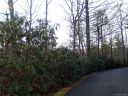 Lot 8 Rainbow S End Lane 8/6 sold home in Lake Toxaway, SC